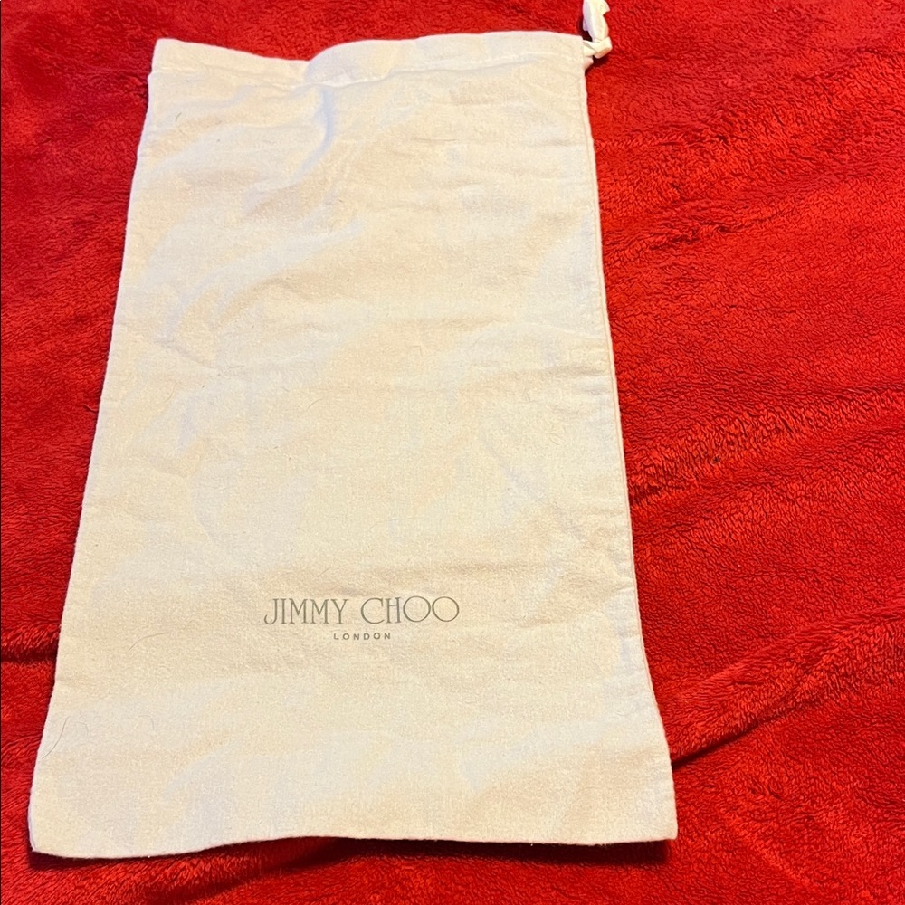 Jimmy Choo Ivory Shoe Bag